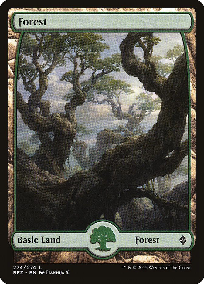 Forest front