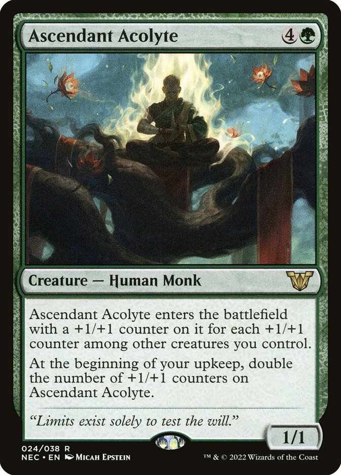 Ascendant Acolyte front