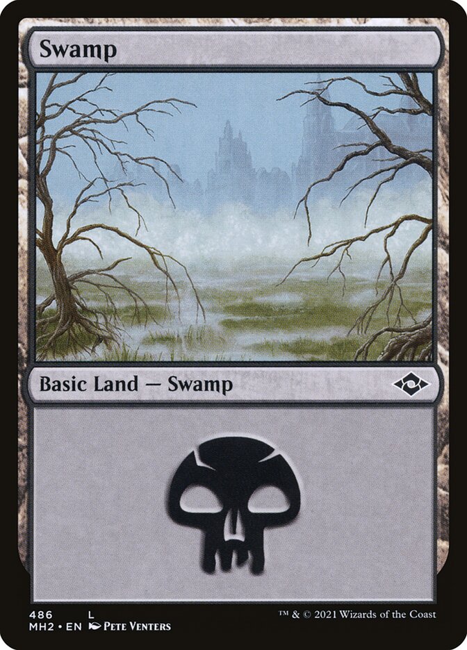 Swamp front