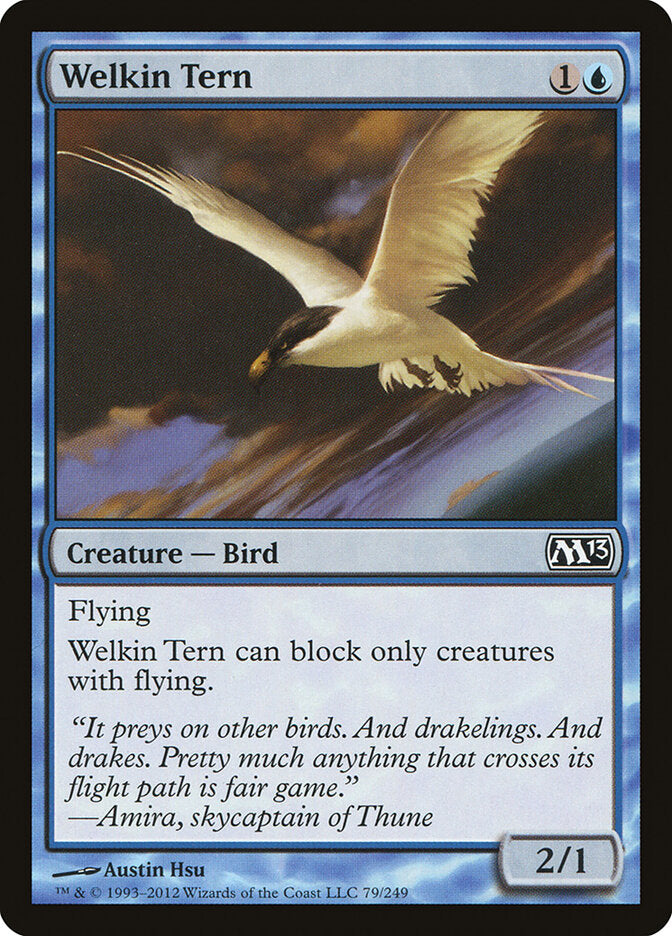 Welkin Tern front