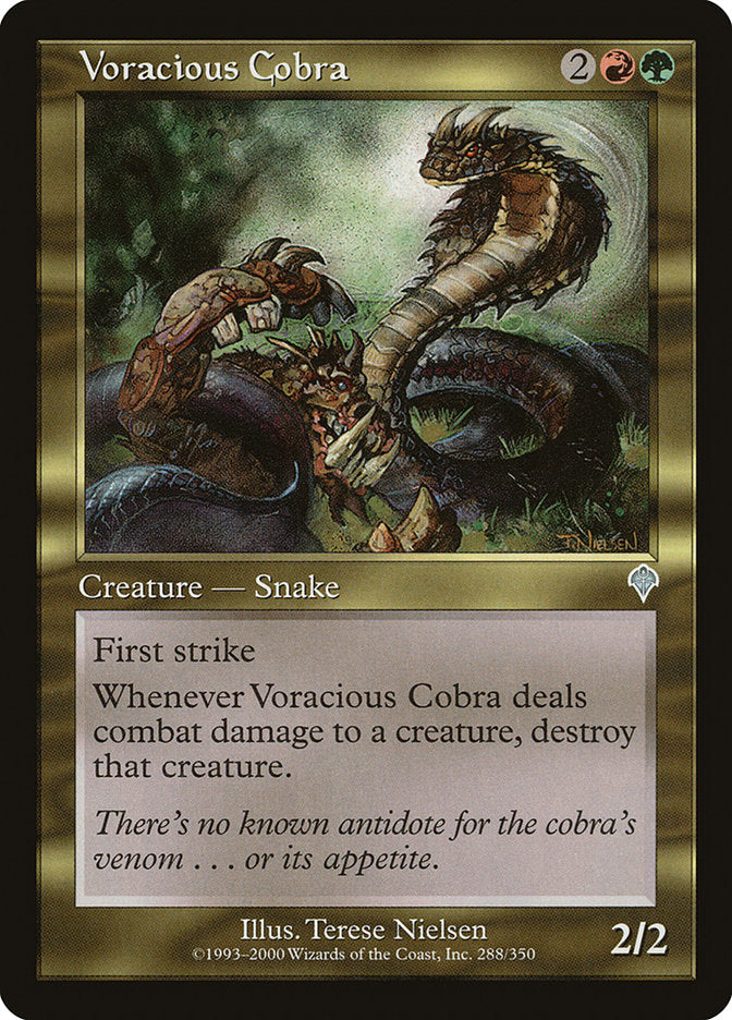 Voracious Cobra front
