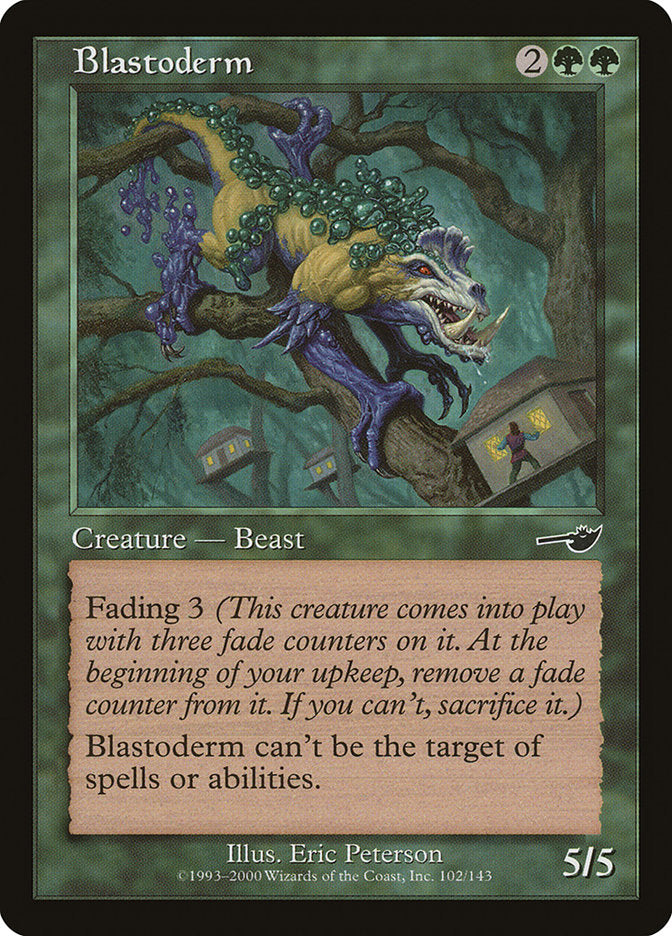 Blastoderm front