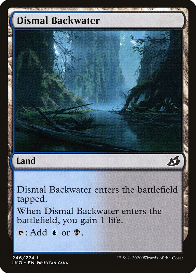 Dismal Backwater front