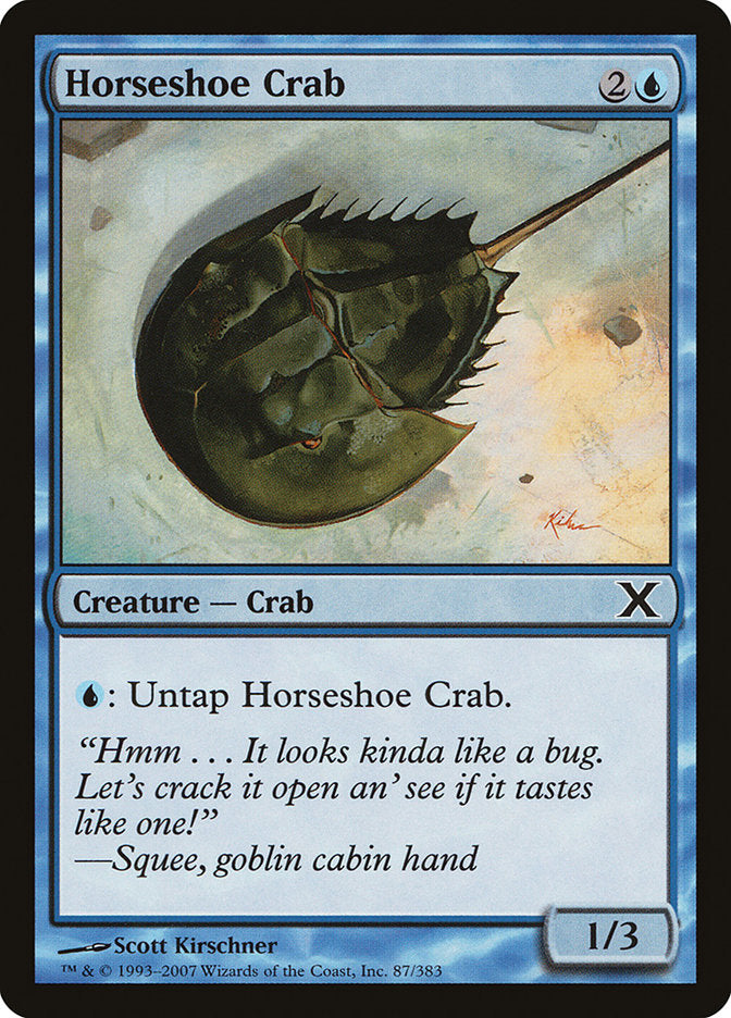 Horseshoe Crab front