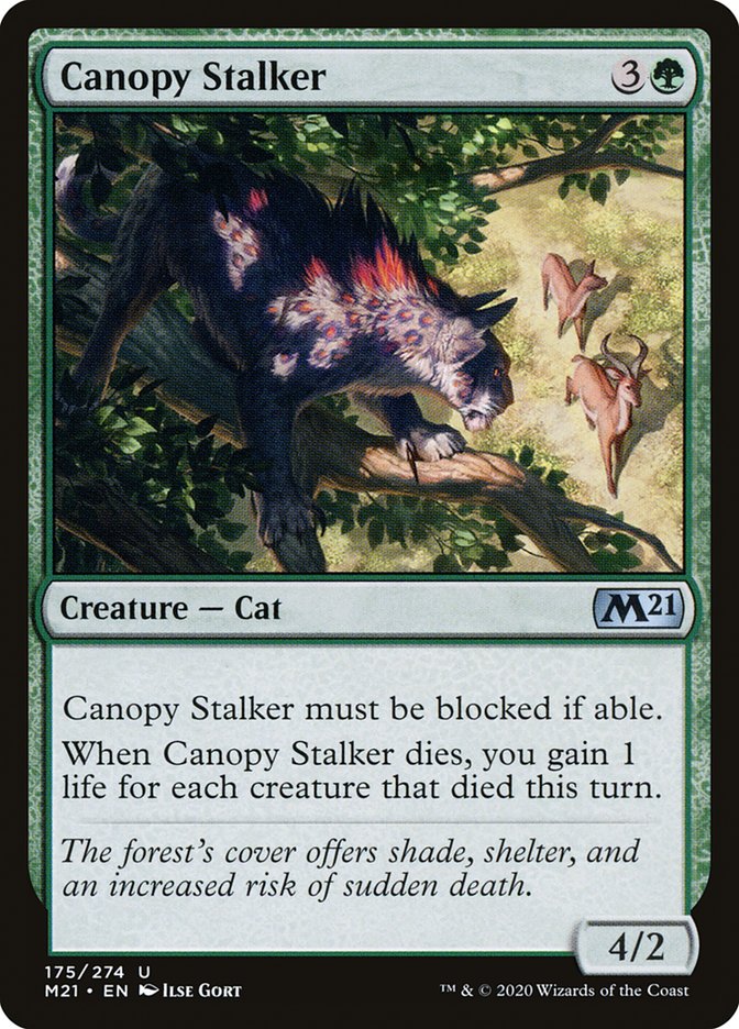 Canopy Stalker front