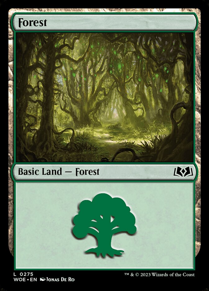 Forest front