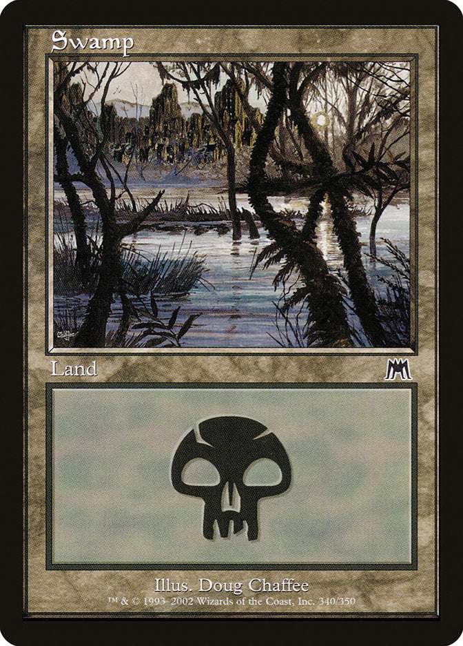 Swamp front