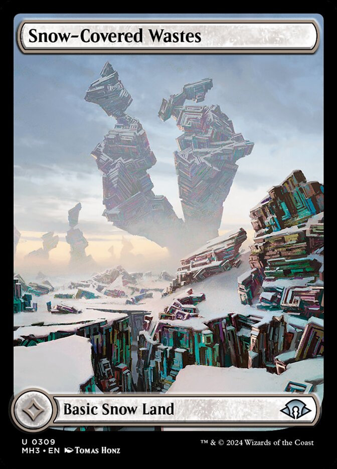 Snow-Covered Wastes front
