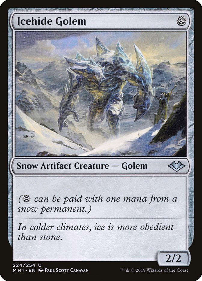 Icehide Golem front
