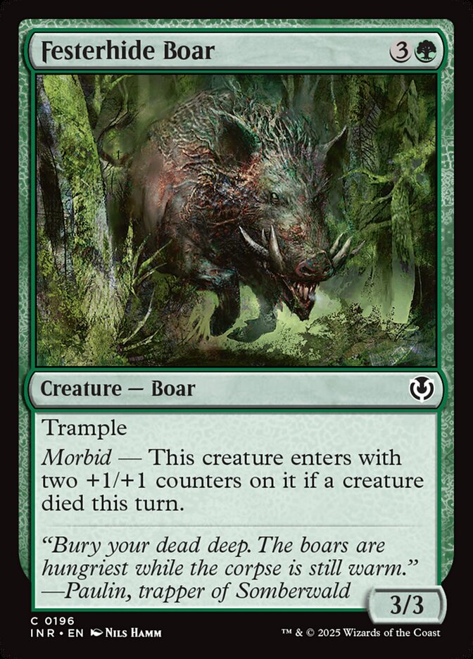 Festerhide Boar front