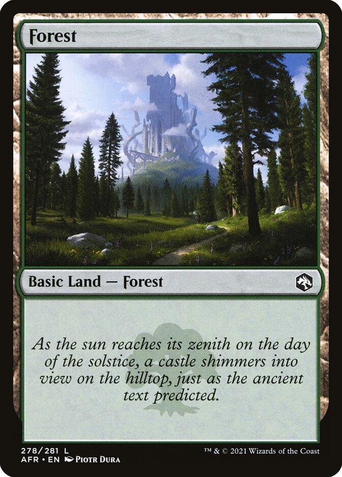 Forest front