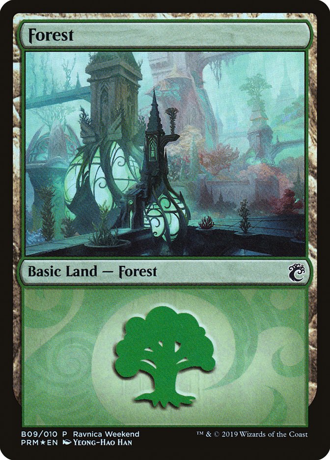 Forest front