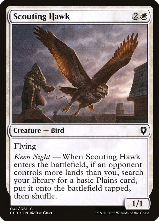 Scouting Hawk front