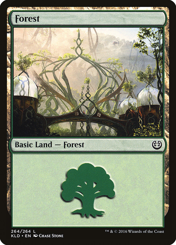 Forest front