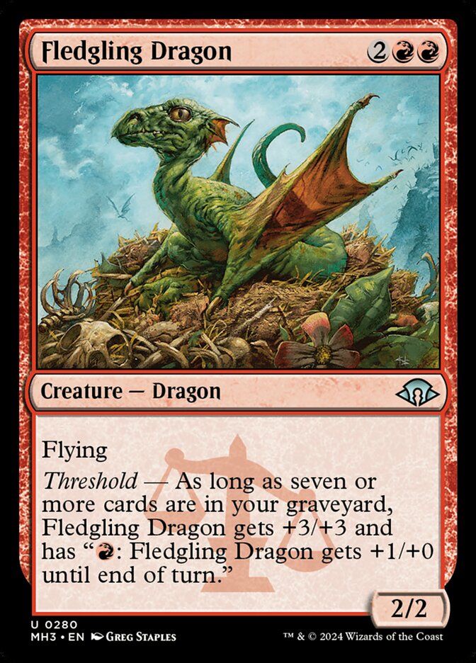 Fledgling Dragon front