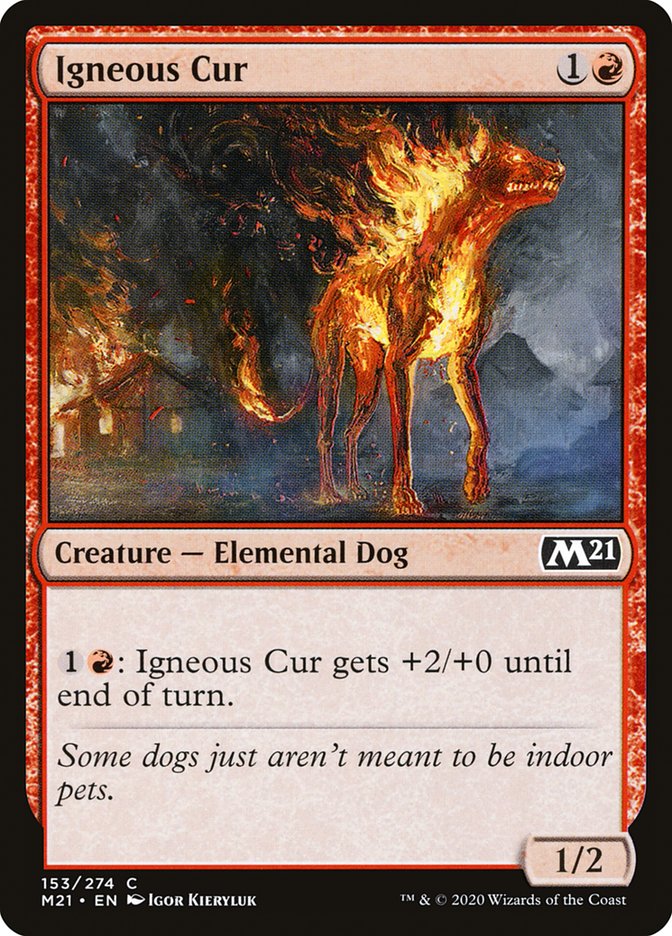 Igneous Cur front