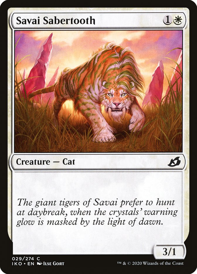 Savai Sabertooth front
