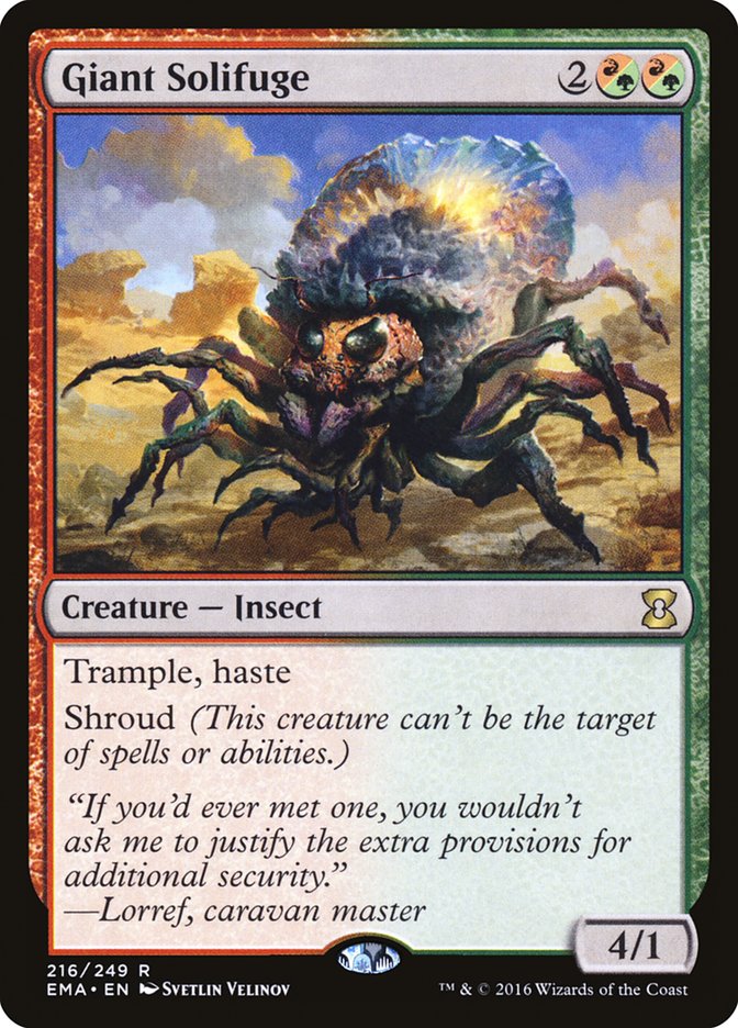 Giant Solifuge front
