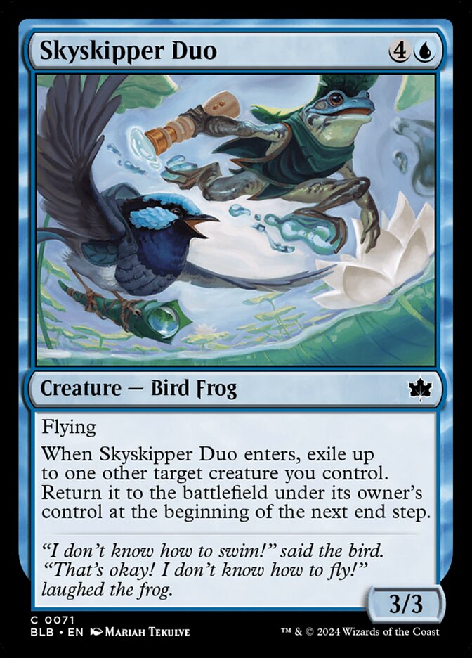 Skyskipper Duo front