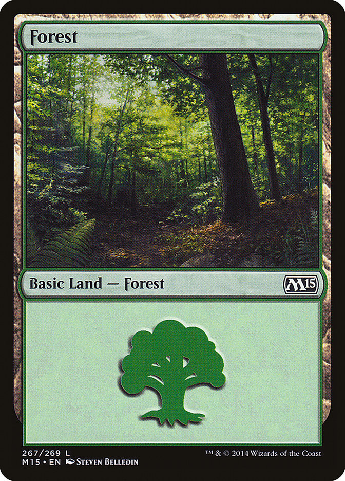 Forest front