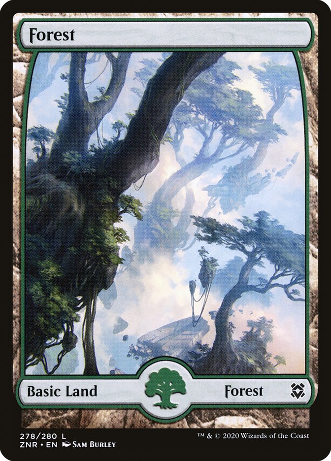 Forest front