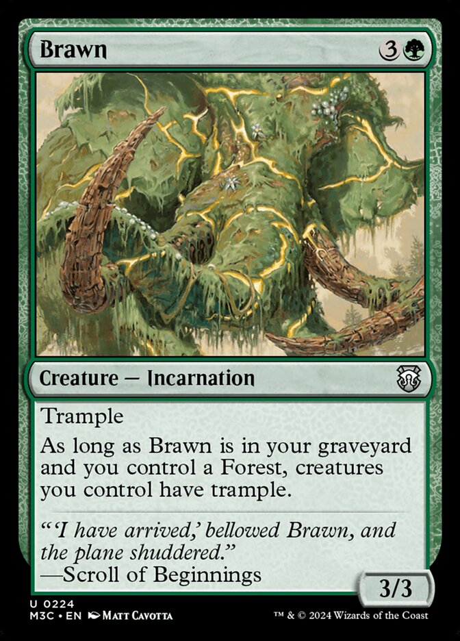 Brawn front