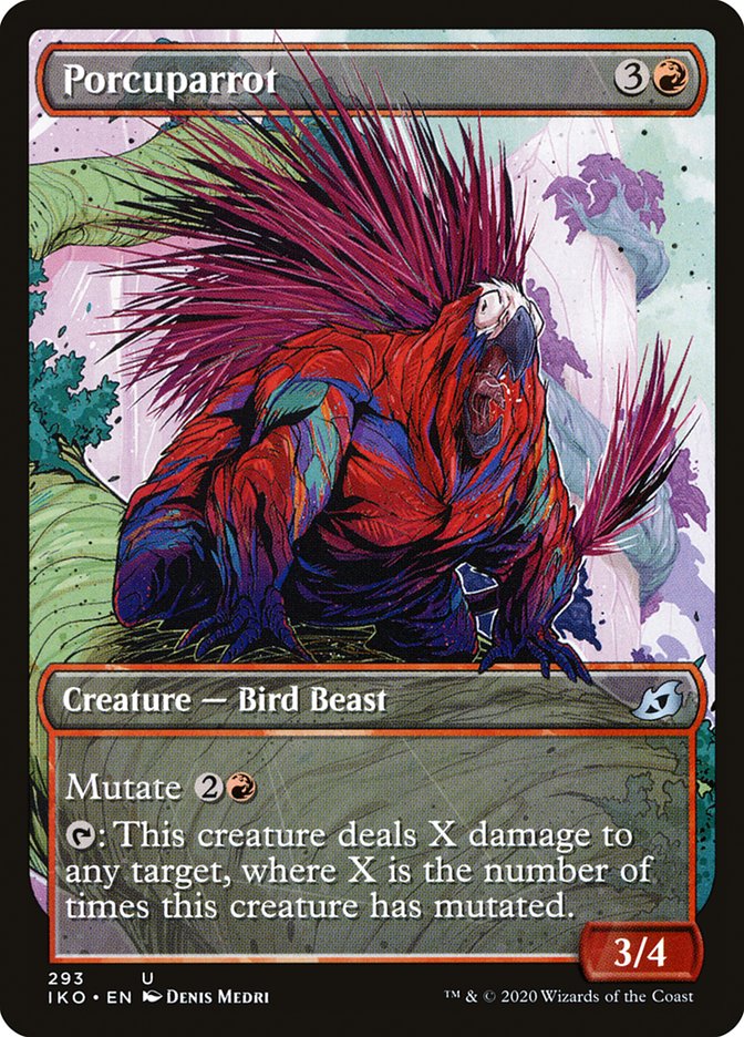 Porcuparrot front