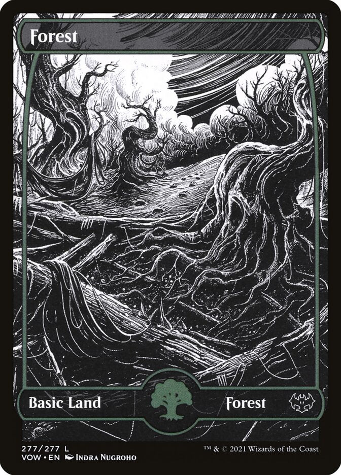 Forest front