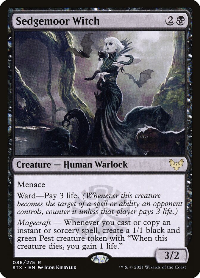 Sedgemoor Witch front