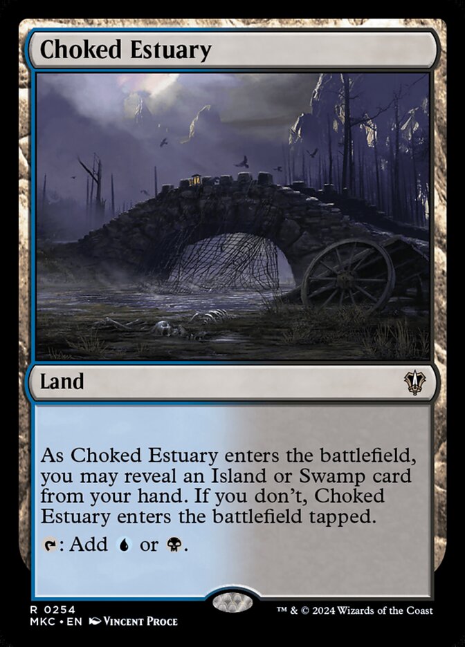 Choked Estuary front
