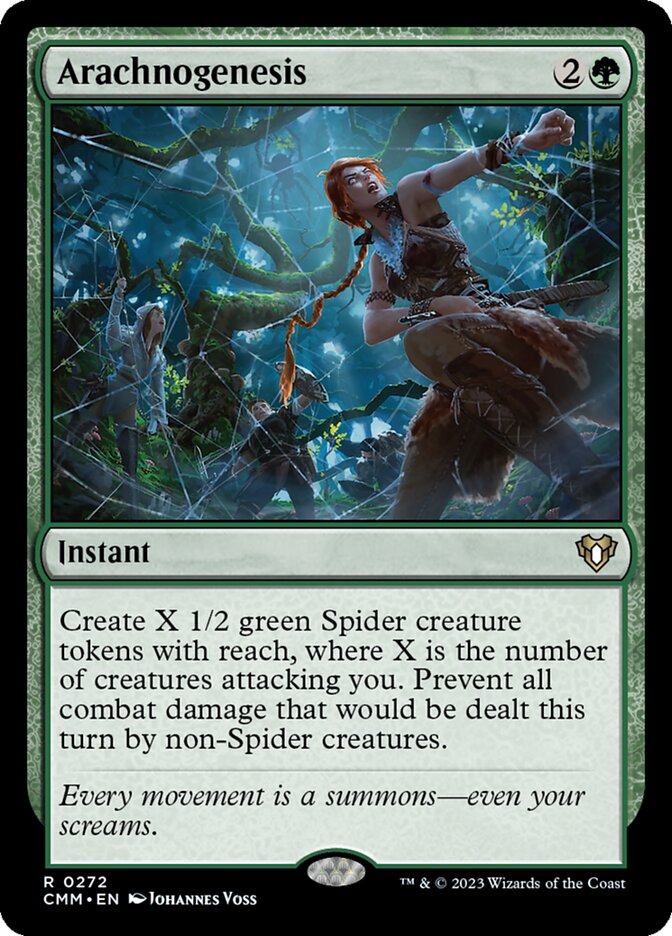 Arachnogenesis front