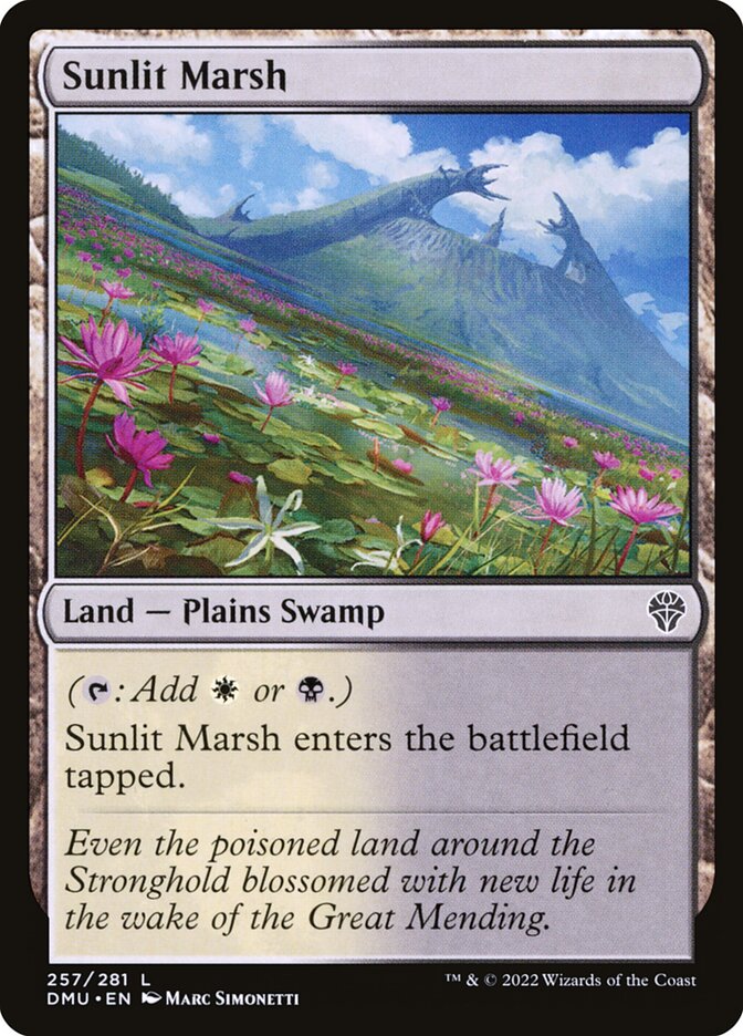 Sunlit Marsh front