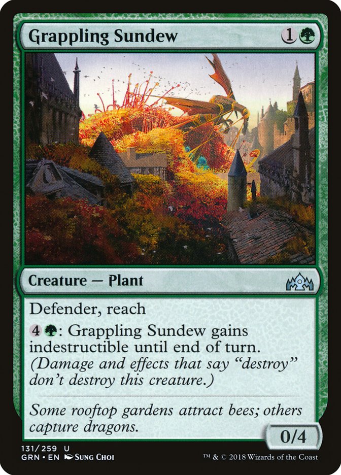 Grappling Sundew front