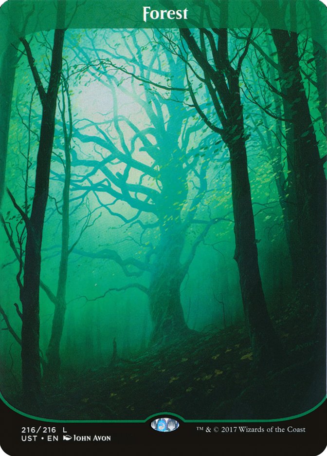 Forest front