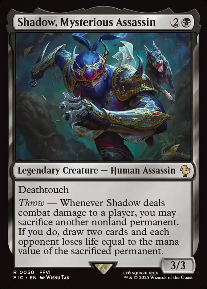 Shadow, Mysterious Assassin front