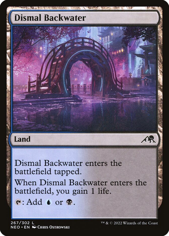 Dismal Backwater front