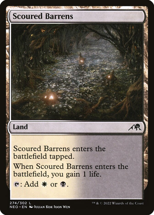 Scoured Barrens front