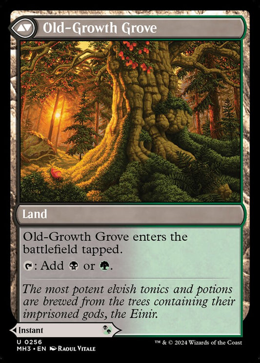 Revitalizing Repast // Old-Growth Grove back