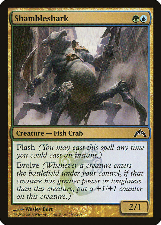 Shambleshark front
