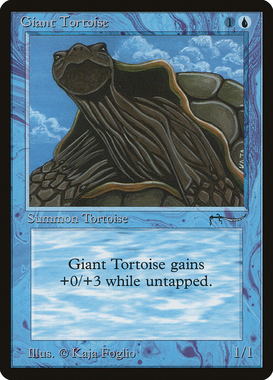 Giant Tortoise front
