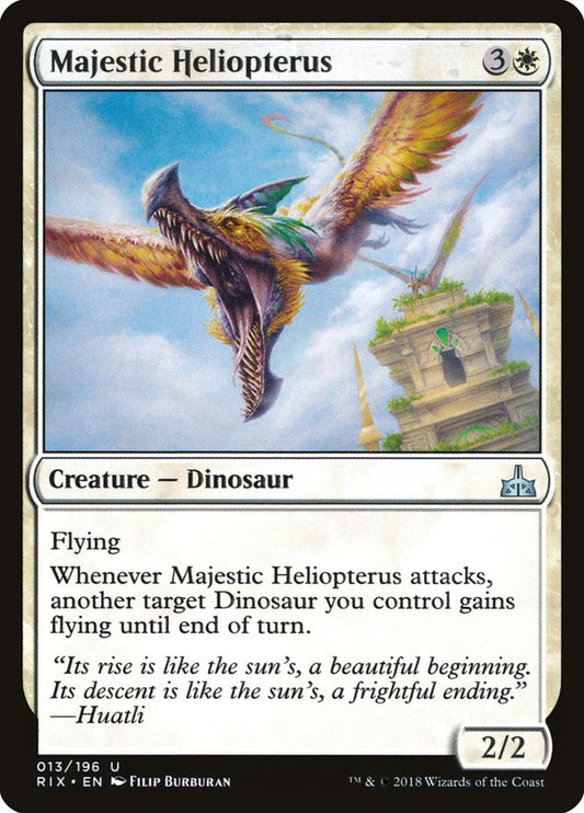 Majestic Heliopterus front