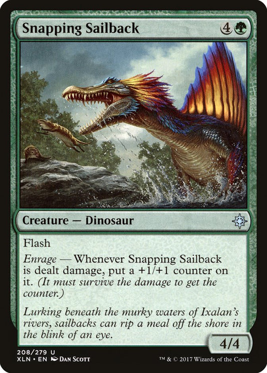 Snapping Sailback front