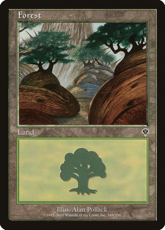 Forest front