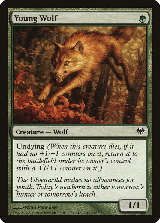 Young Wolf front