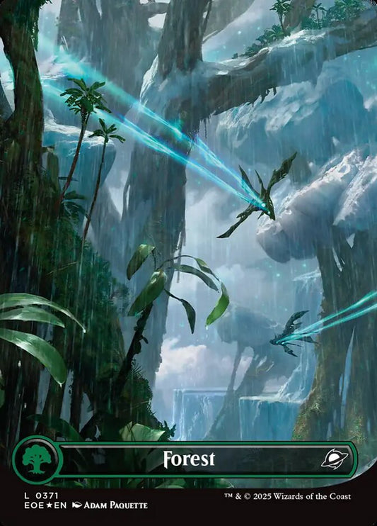 Forest front