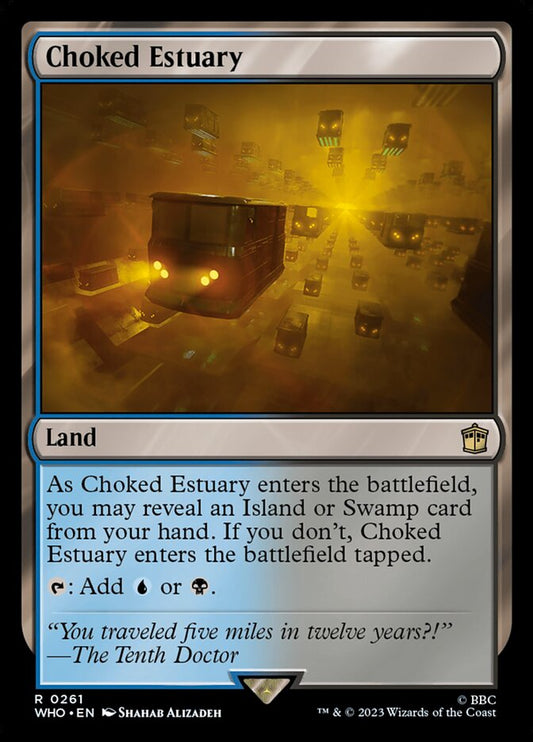 Choked Estuary front