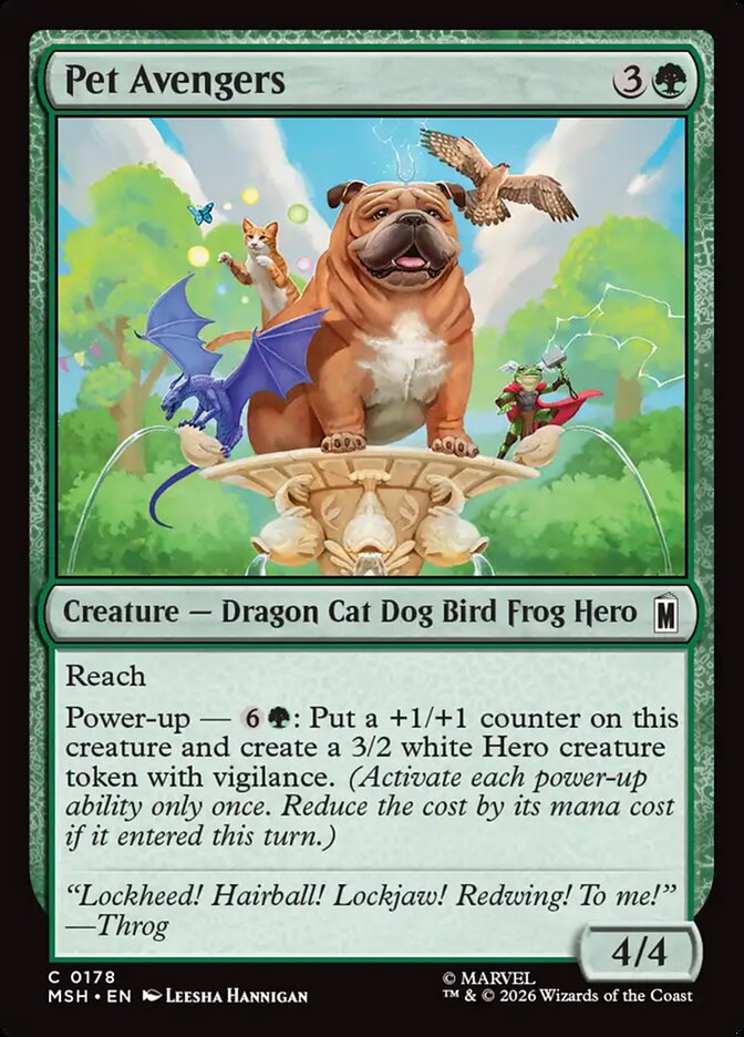 Pet Avengers front