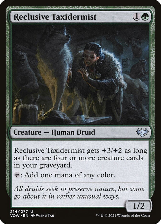 Reclusive Taxidermist front