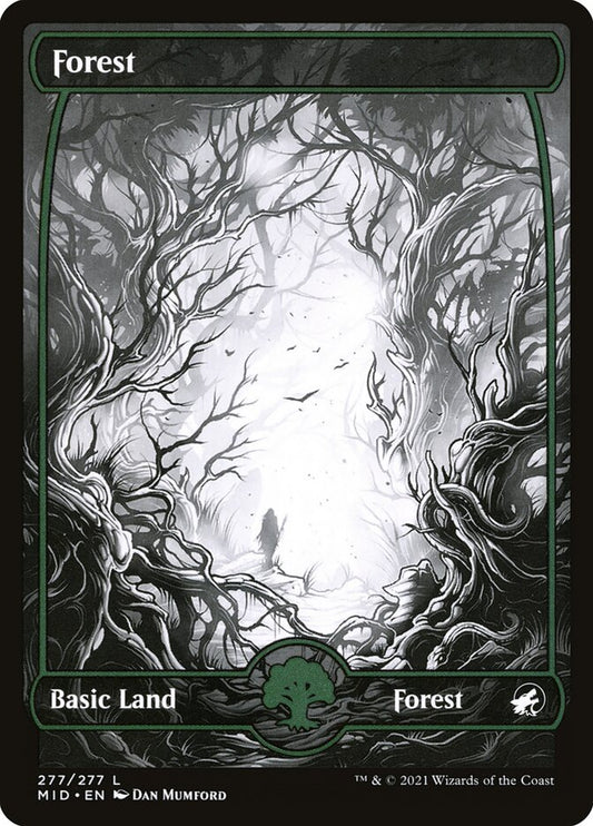 Forest front