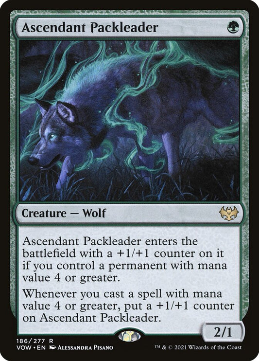 Ascendant Packleader front